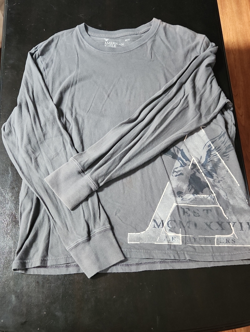American Eagle Outfitters Men's Long Sleeve Graphic Tee - Gray